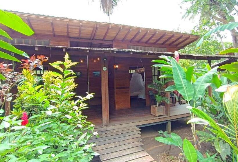 Bed and Breakfast La Tarima Del Colibri Ecolodge