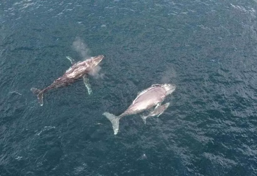 ベッドアンドブレックファースト La Tarima Del Colibri Ecolodge