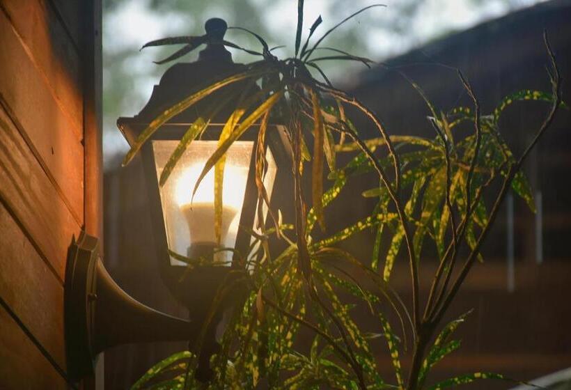 Bed and Breakfast La Tarima Del Colibri Ecolodge