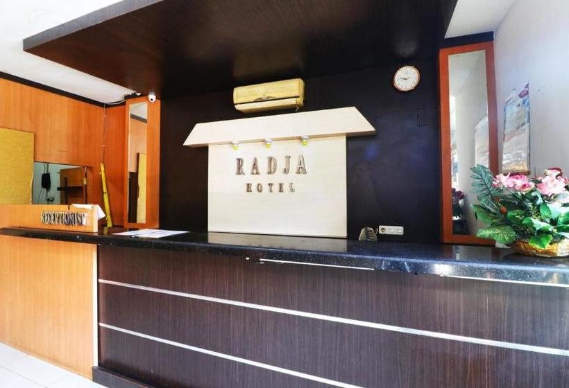 בית מלון כפרי Radja