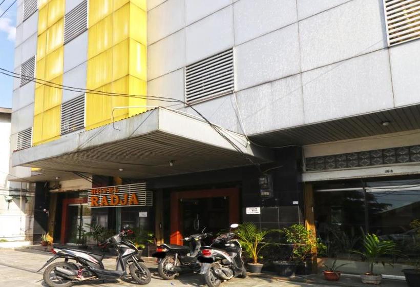 בית מלון כפרי Radja