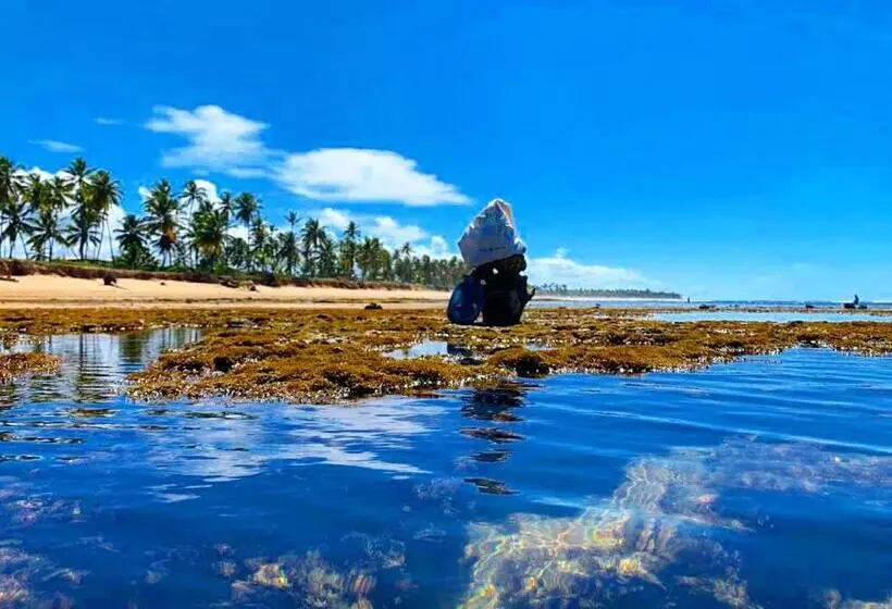 ペンション Pousada Du’forte