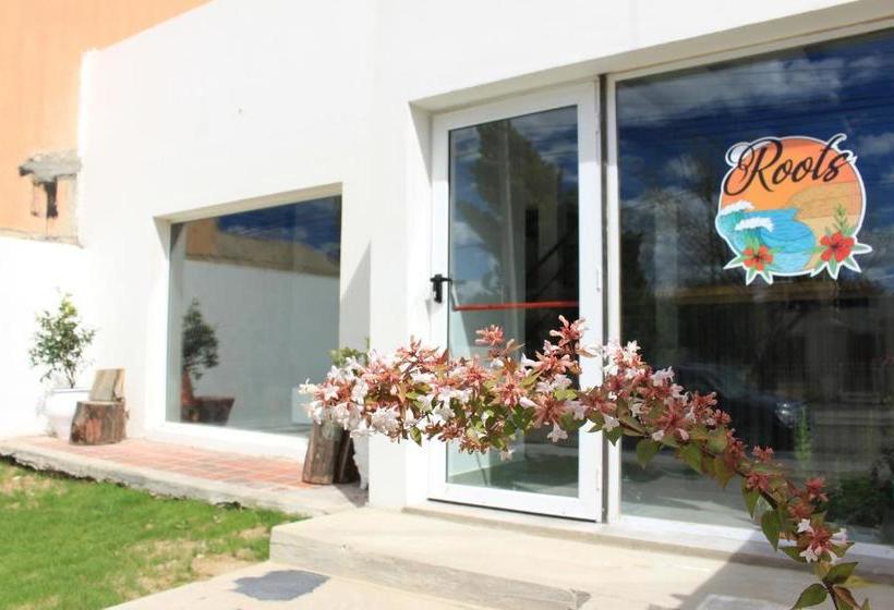 旅馆 Roots Backpackers