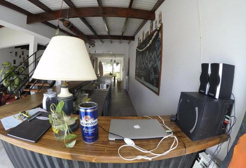 旅馆 Roots Backpackers