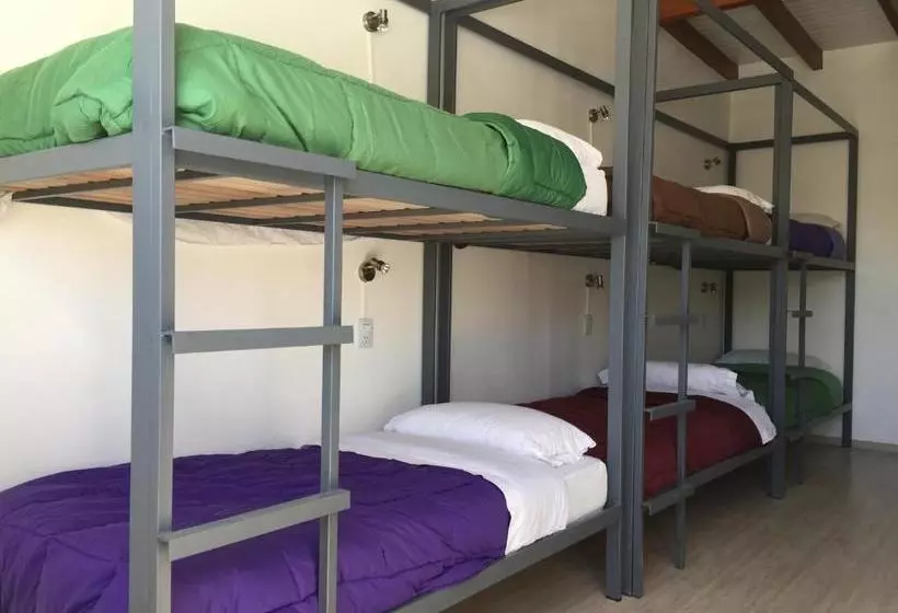 Retkeilymaja Roots Backpackers