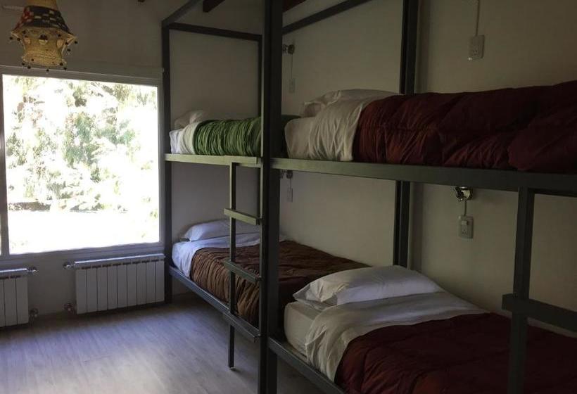 旅馆 Roots Backpackers