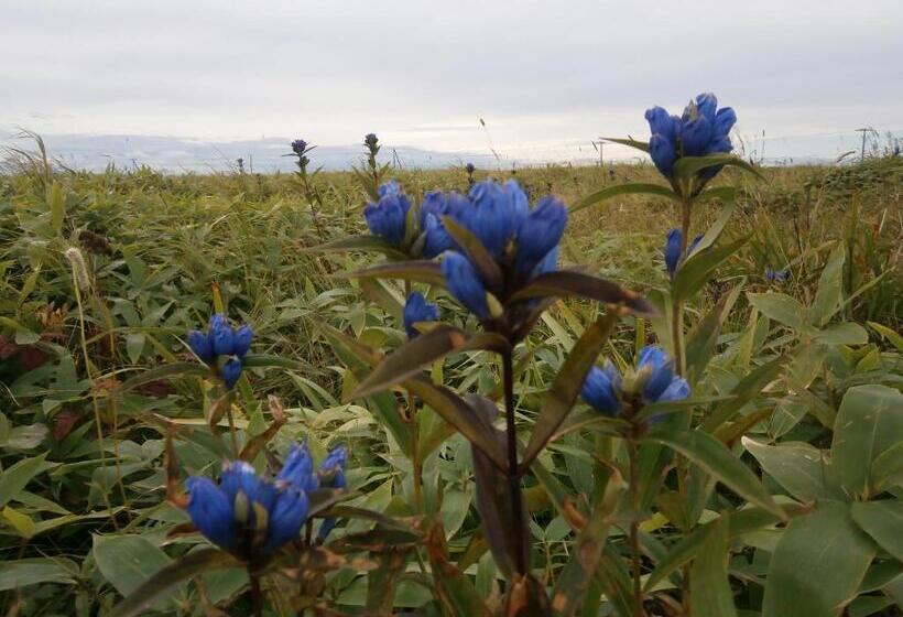 بنسيون Guesthouse Tomaya