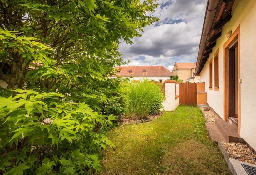 פנסיון Penzion A Kemp Koruna