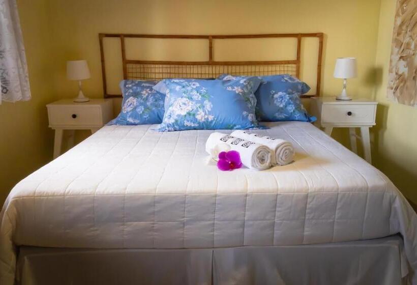 بنسيون Pousada Gata Russa