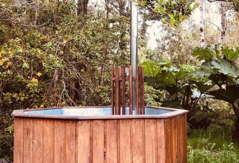 膳宿费 Hospedaje Hamiltons Place