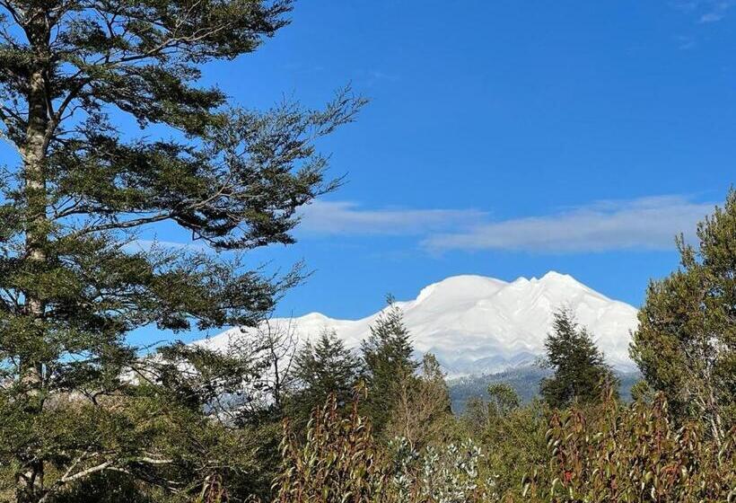 膳宿费 Hospedaje Hamiltons Place