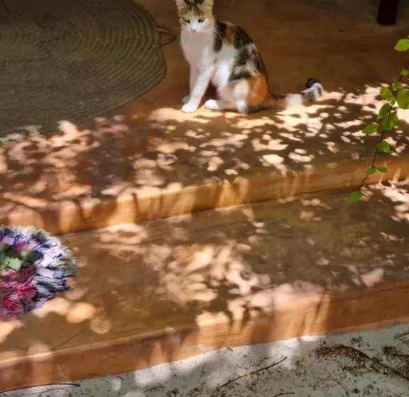 Majatalo Sunny House Paje