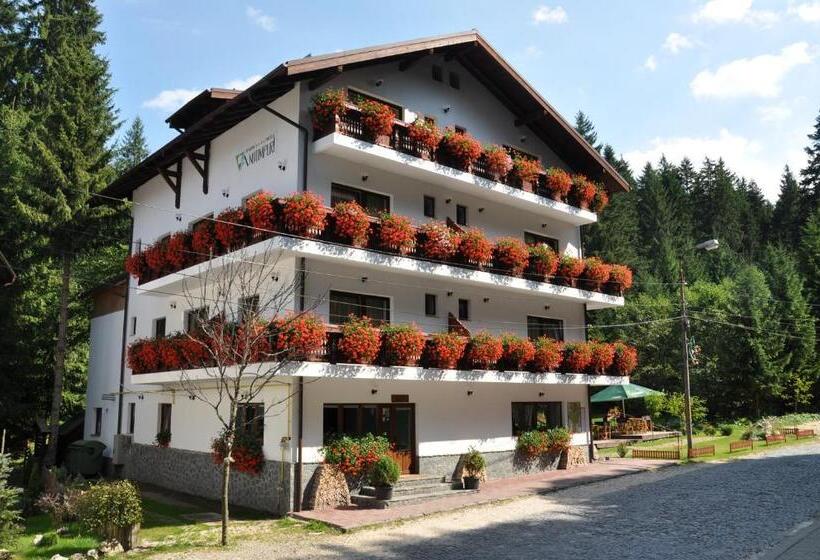 Pensiunea Anotimpuri