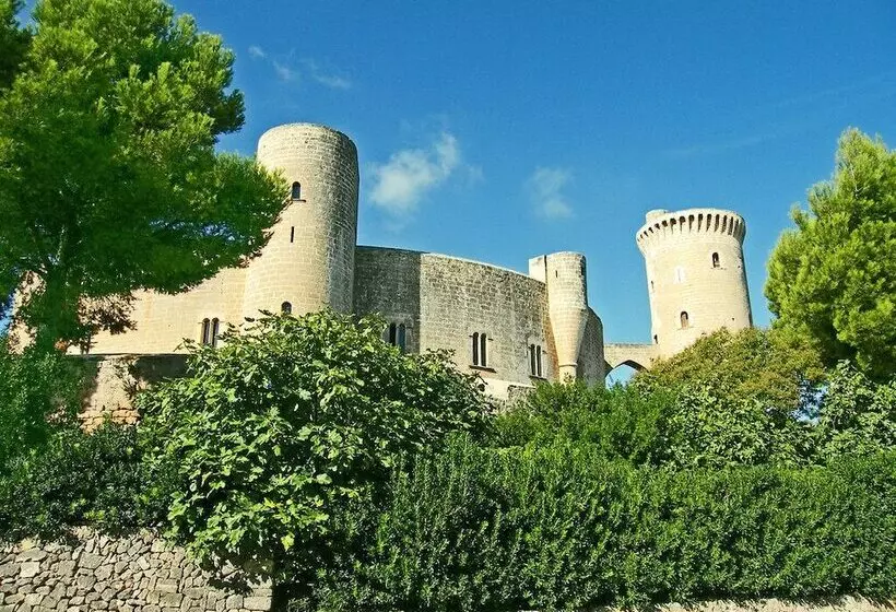 Apartamentos Casa Vida