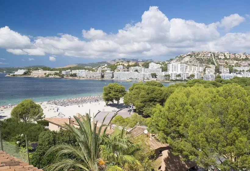 Apartamentos Casa Vida