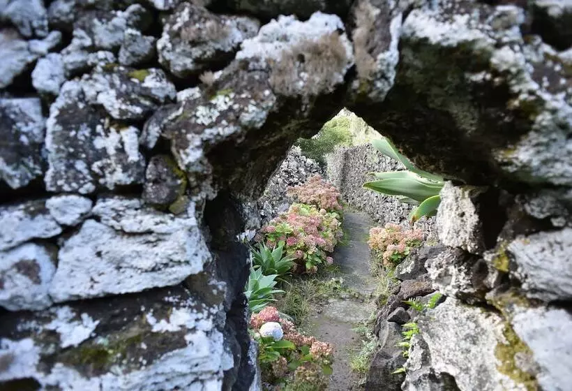 Caloura Hotel Resort