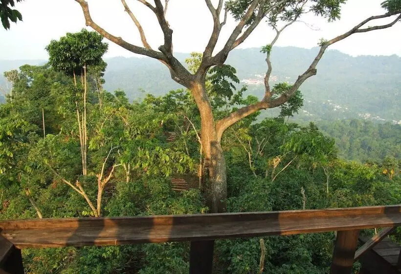 Отель Argovia Finca Resort