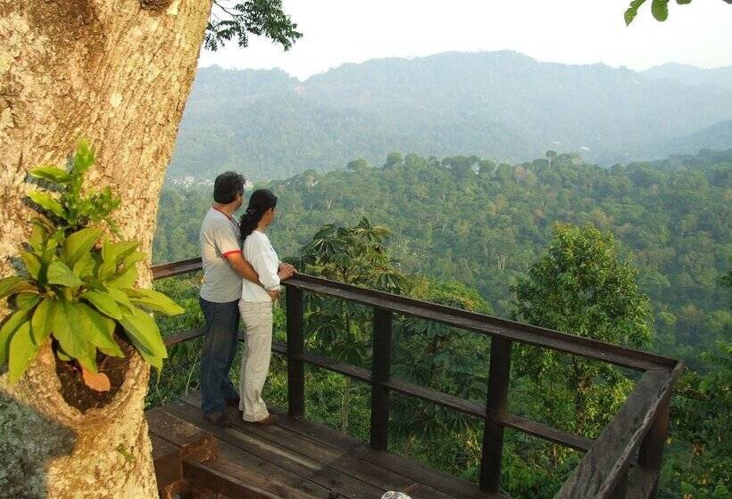 ホテル Argovia Finca Resort