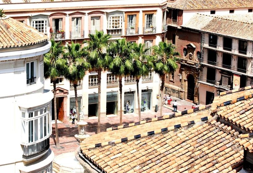 هتل Petit Palace Plaza Malaga