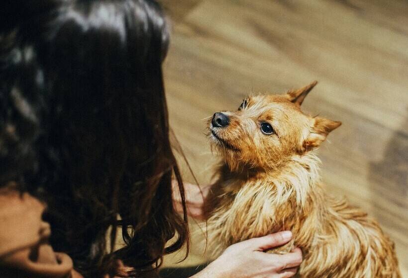 هتل Petit Palace Plaza Malaga