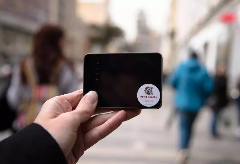 هتل Petit Palace Plaza Malaga