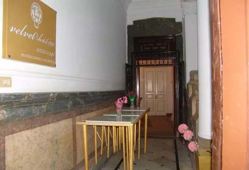 هتل Velvet 1915
