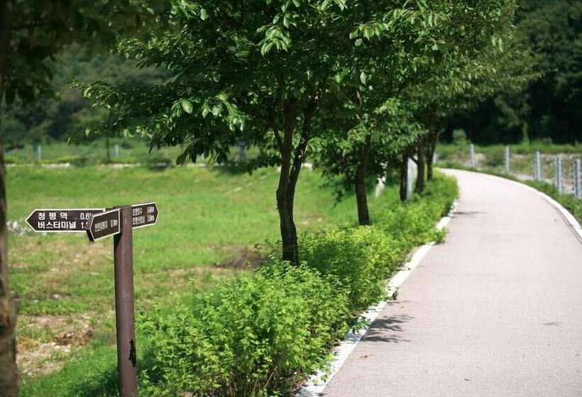 Mornig Shine Pension