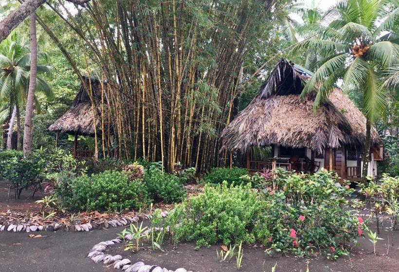 Пансион Cabinas Los Cocos