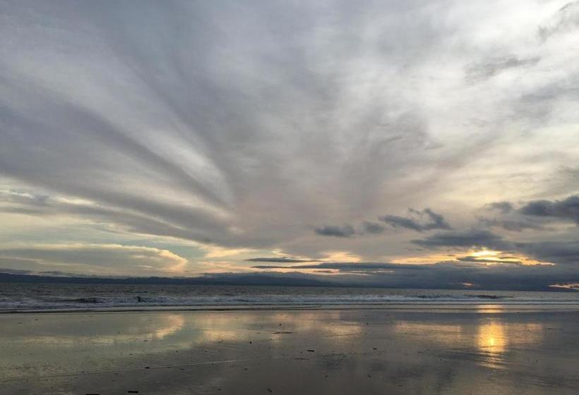 Пансион Cabinas Los Cocos