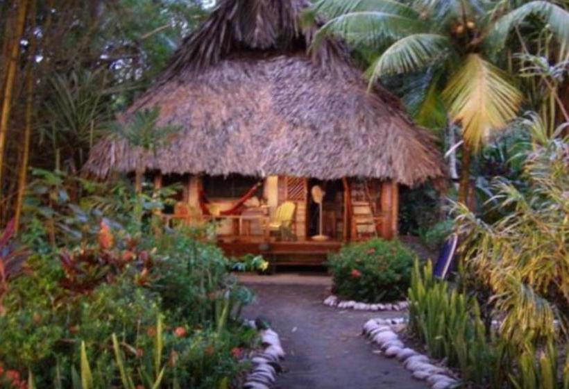 Пансион Cabinas Los Cocos