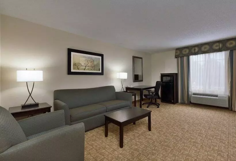 هتل Holiday Inn Exp Winston Salem By Ihg