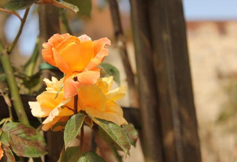 تختخواب و صبحانه Castello Dei Templari