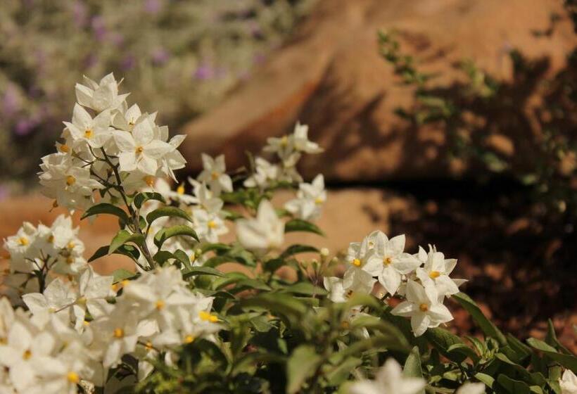 تختخواب و صبحانه Castello Dei Templari