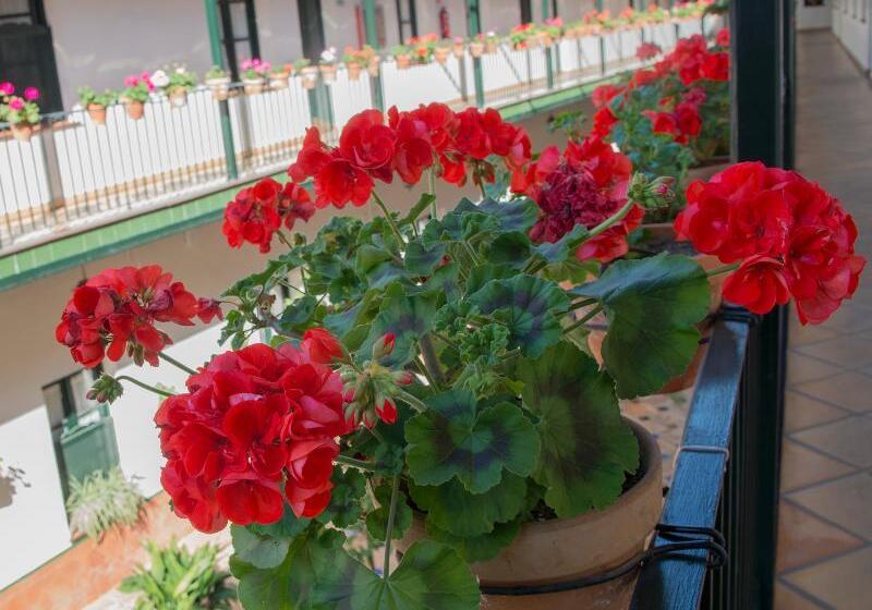 Corral De Los Chicharos