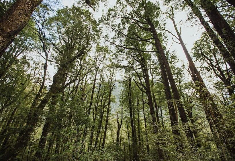 Hotel Maruia Hot Springs