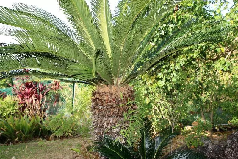 ホテル Peace Haven