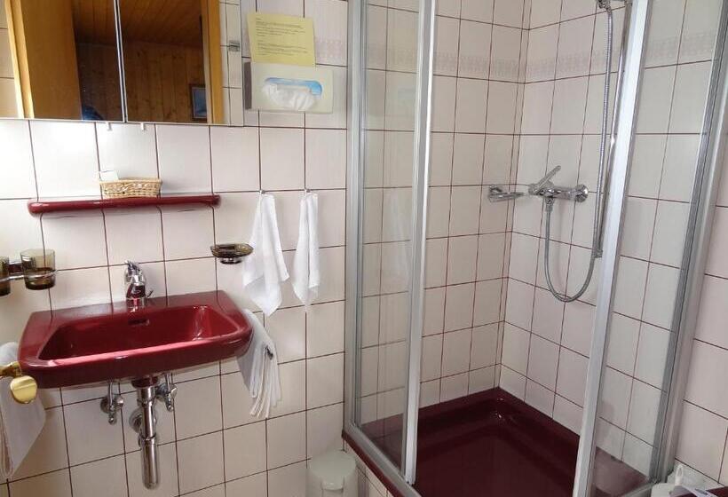 Отель Alpfrieden