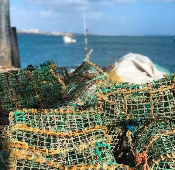 酒店 Amazonia Estoril