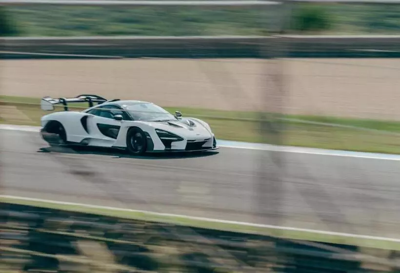 酒店 Amazonia Estoril