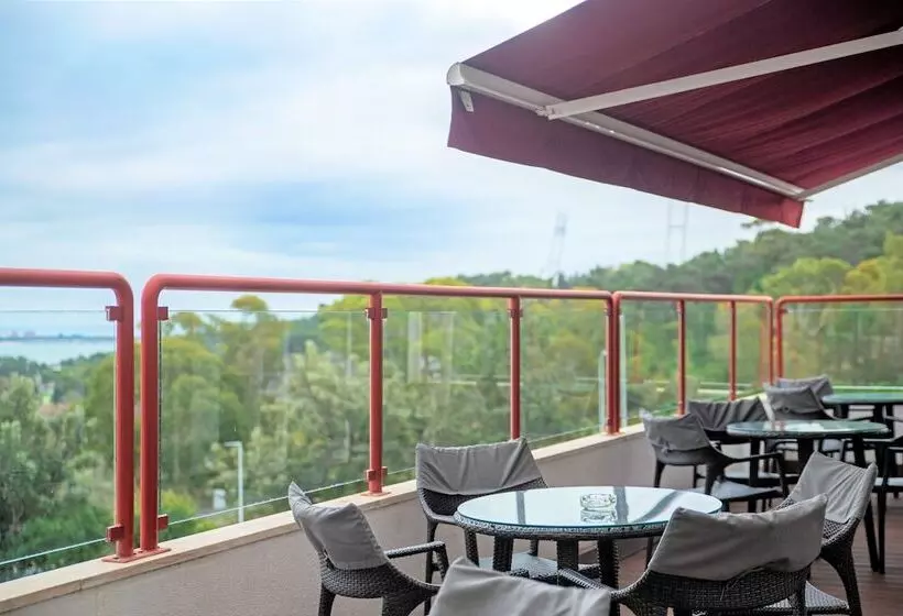 Отель Amazonia Jamor