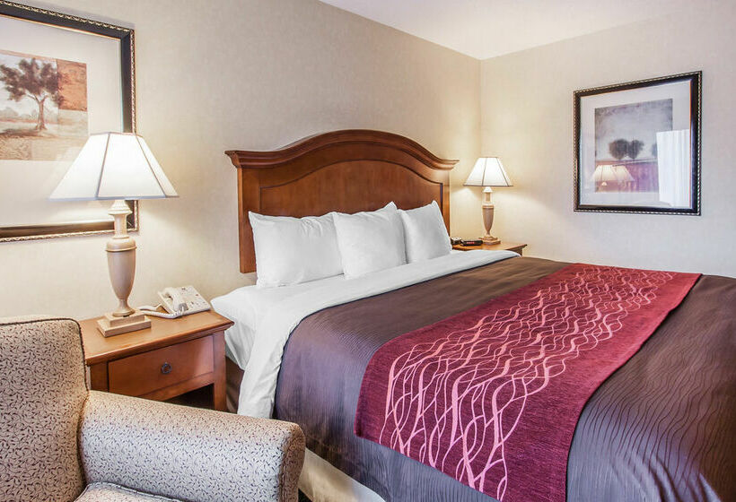 בית מלון כפרי Comfort Inn Conference Center Hillsboro