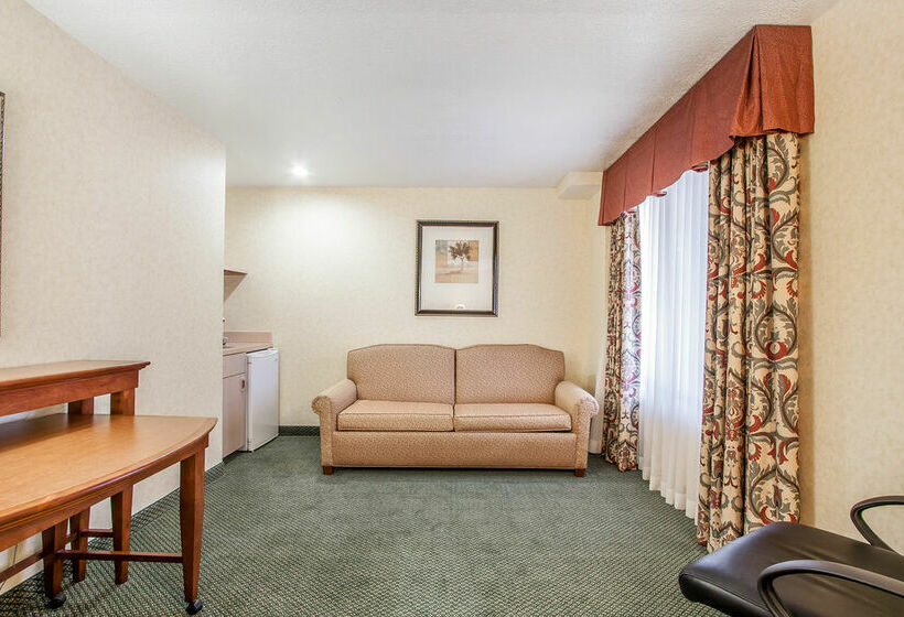 בית מלון כפרי Comfort Inn Conference Center Hillsboro