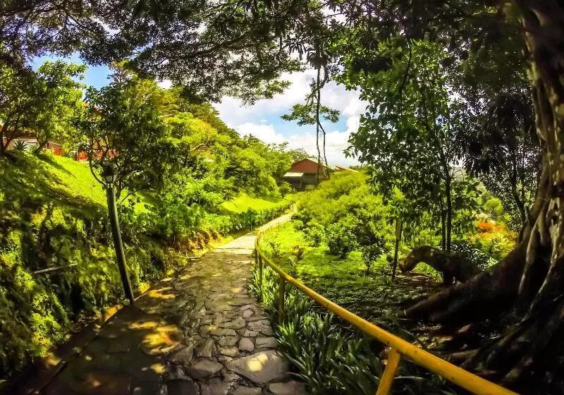 ホテル Heliconia  Monteverde