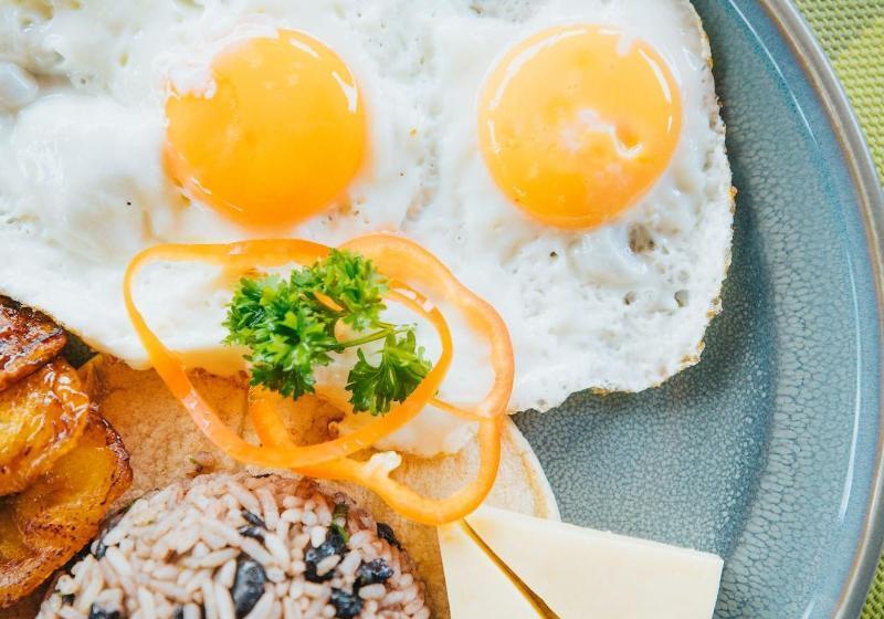 فندق Heliconia  Monteverde