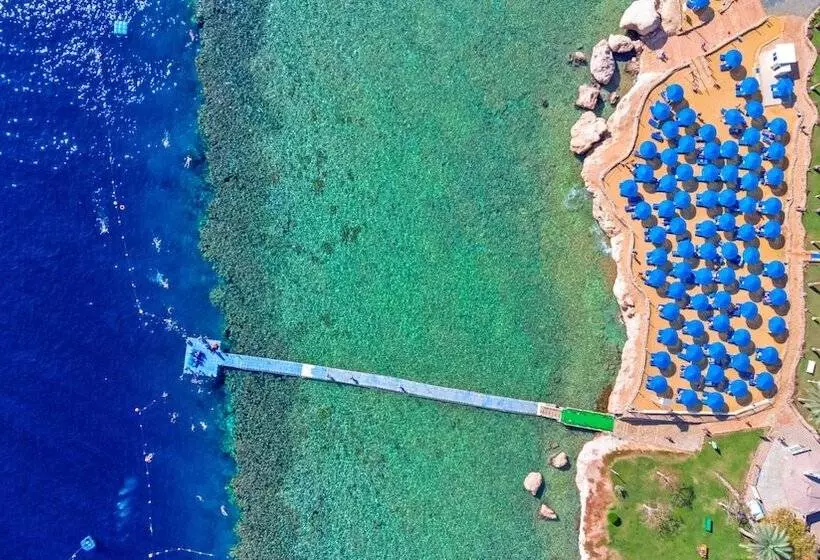 Hotel Pickalbatros Royal Grand Sharm  Adults Friendly 16 Years Plus