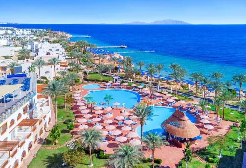 Hotel Pickalbatros Royal Grand Sharm  Adults Friendly 16 Years Plus