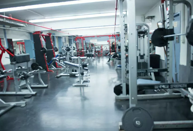 酒店 Green Point Ymca   Hostel