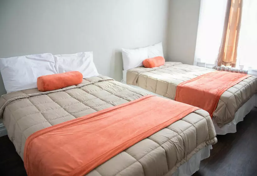 酒店 Green Point Ymca   Hostel