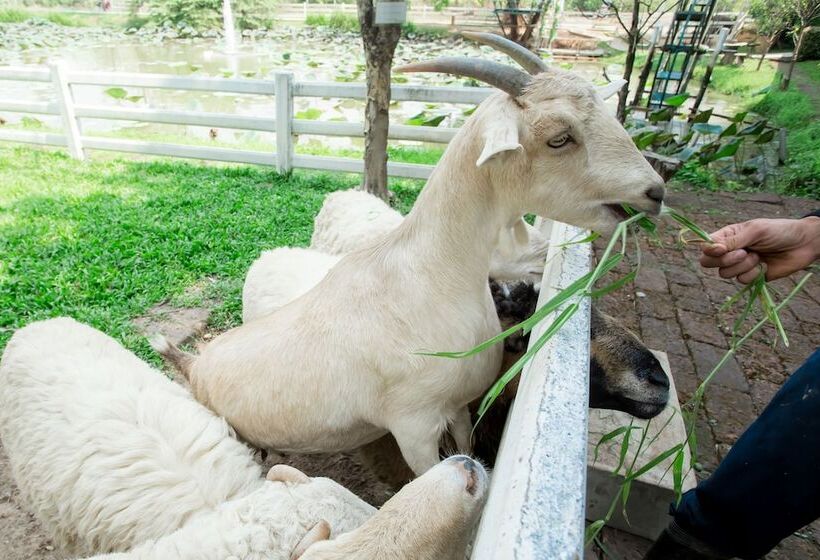 渡假胜地  Jirung Health Village