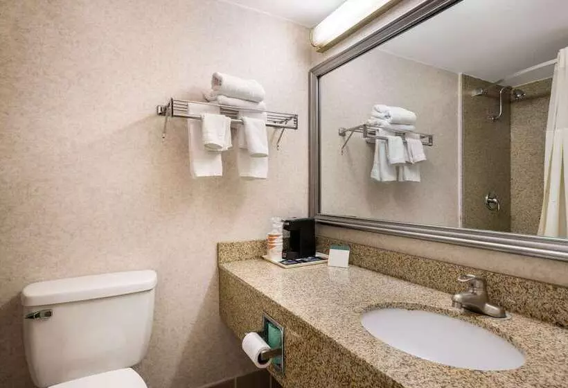 هتل Quality Inn And Suites Fairgrounds   Syracuse